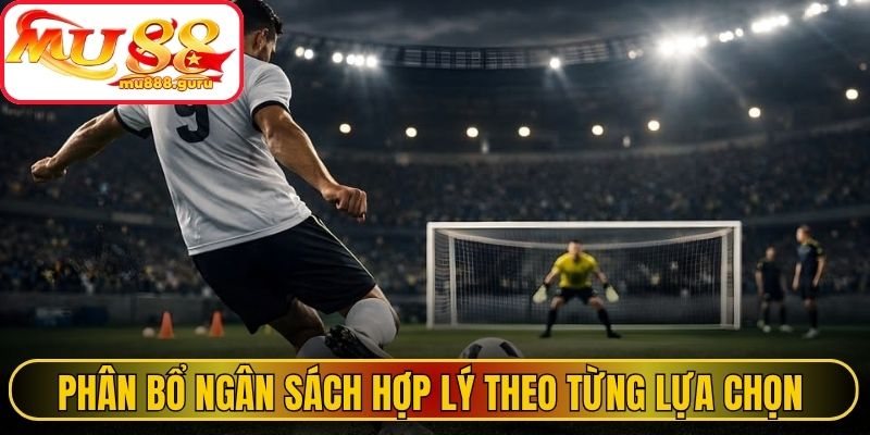 Phân bổ ngân sách hợp lý theo từng lựa chọn 